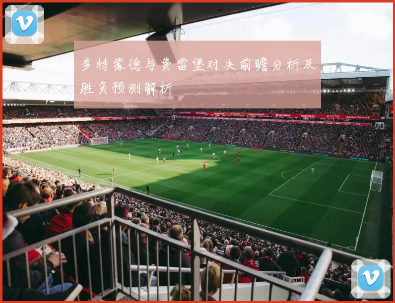 多特蒙德与费雷堡对决前瞻分析及胜负预测解析