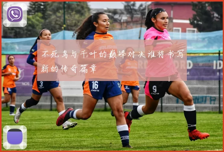 不死鸟与千叶的巅峰对决谁将书写新的传奇篇章