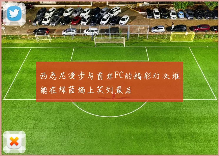 西悉尼漫步与首尔FC的精彩对决谁能在绿茵场上笑到最后